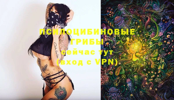 гашик Балабаново