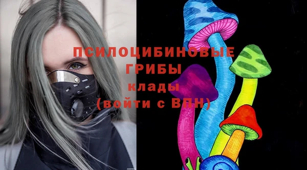 гашик Балабаново